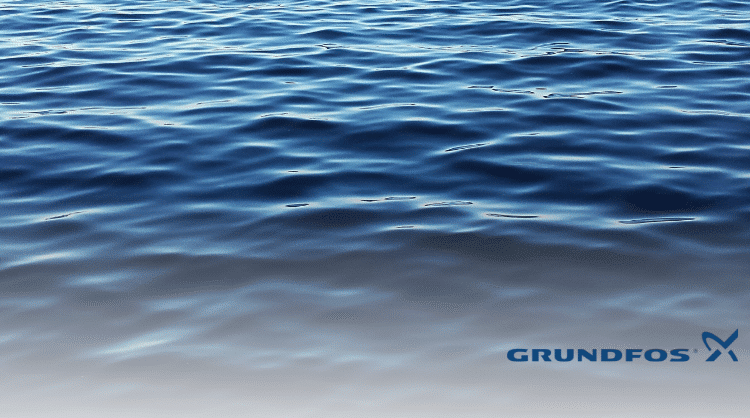 Grundfos Case Study