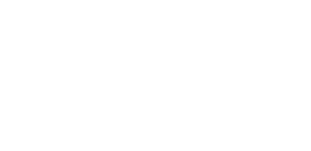 Xylem Logo White